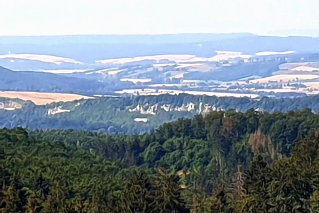 Ferienwohnung Sued - West Harz Mit Sauna E-Bikes Vorhanden! Horden am Harz Екстер'єр фото