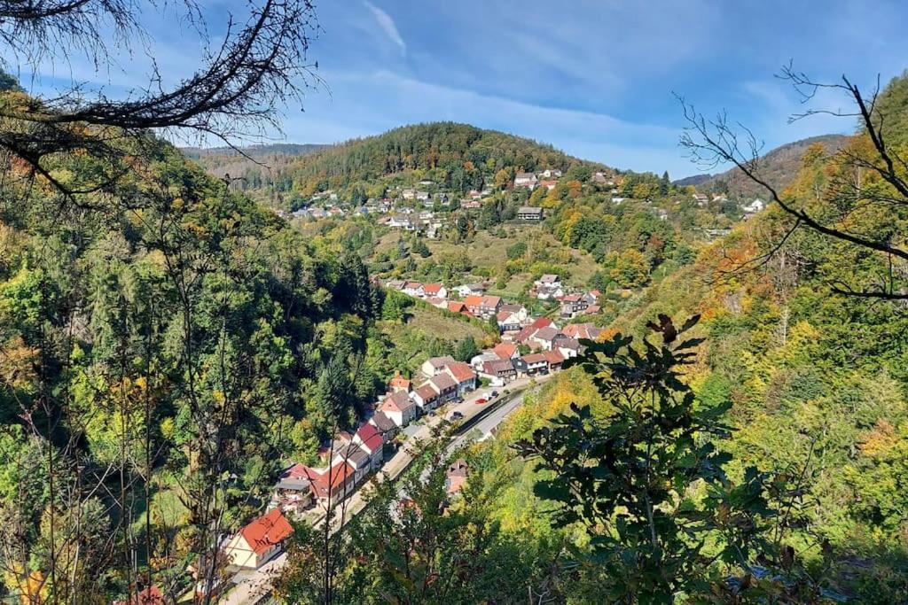 Ferienwohnung Sued - West Harz Mit Sauna E-Bikes Vorhanden! Horden am Harz Екстер'єр фото