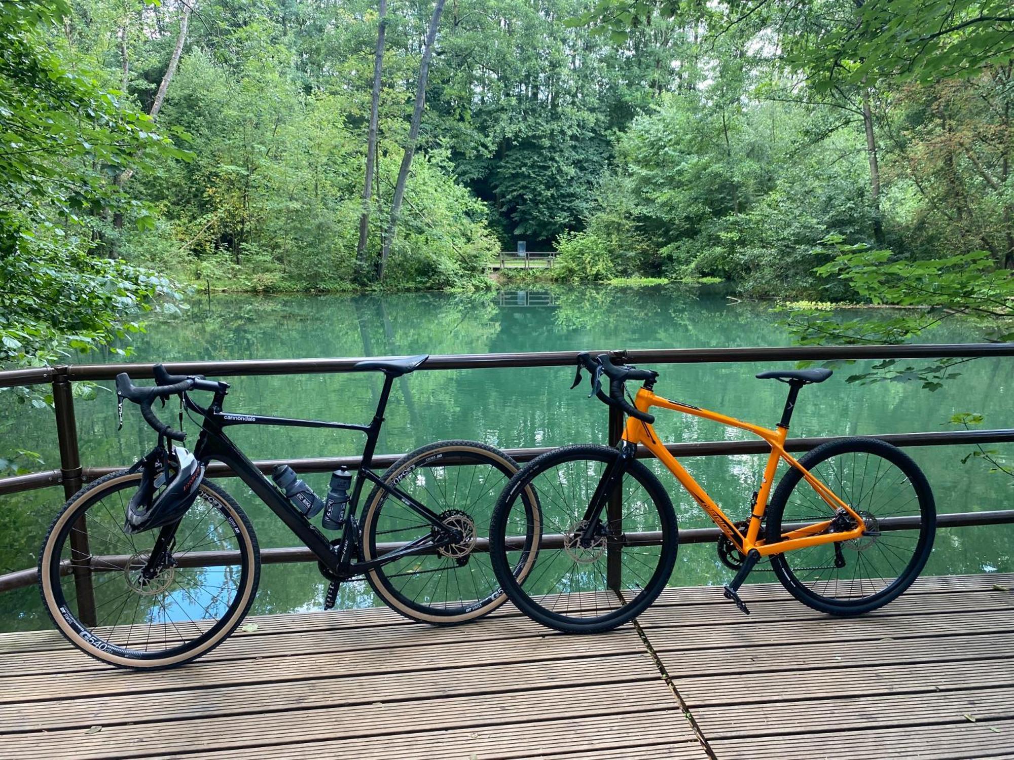 Ferienwohnung Sued - West Harz Mit Sauna E-Bikes Vorhanden! Horden am Harz Екстер'єр фото